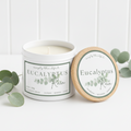 Everyday Collection - Eucalyptus Rain  6.5 oz
